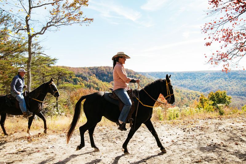 East Fork Stables — Jamestown East Fork Stables — Jamestown