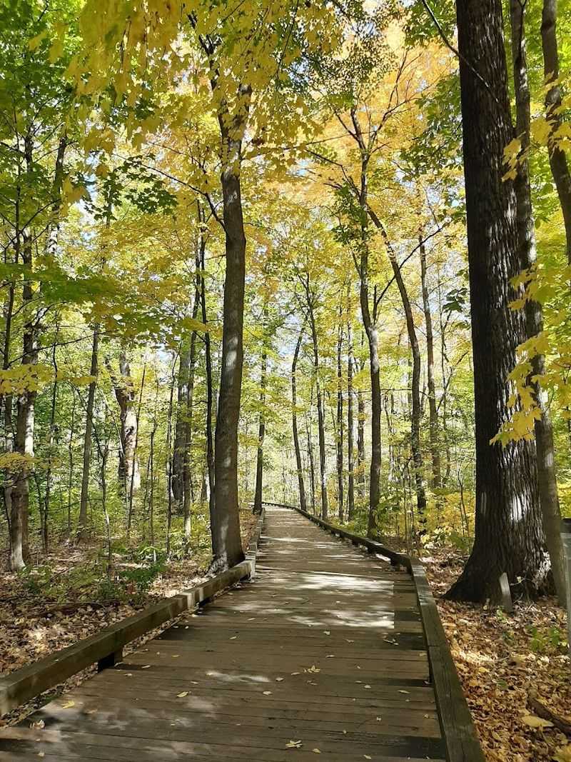Easy Trails Make Exploring Feel Relaxed And Accessible Easy Trails Make Exploring Feel Relaxed And Accessible