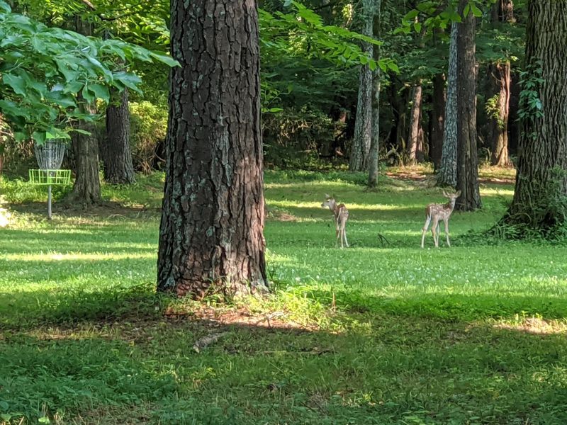 Easy Trails, River Views, and a Touch of Local History