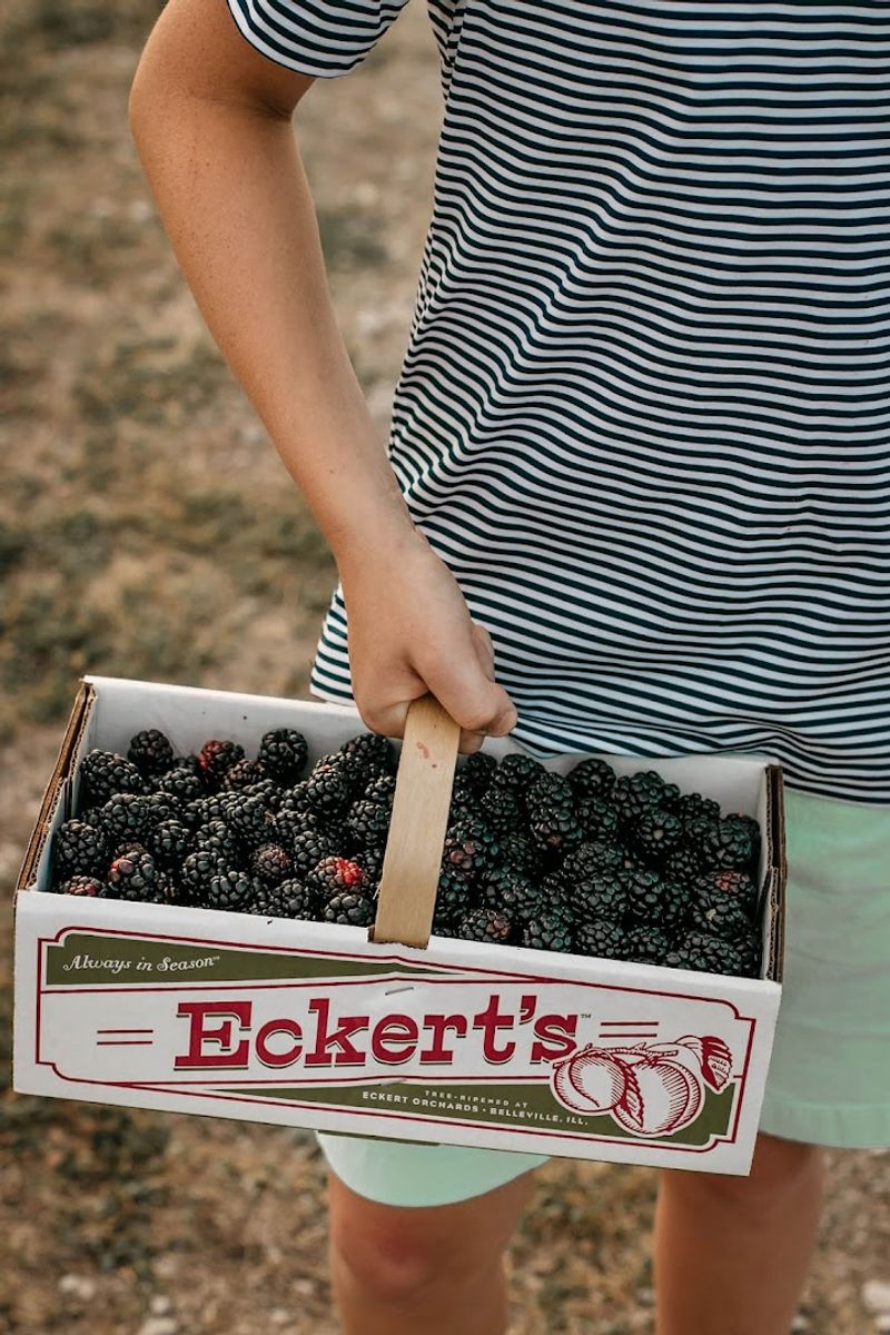 Eckert’s Belleville Farm – Belleville Eckert’s Belleville Farm – Belleville