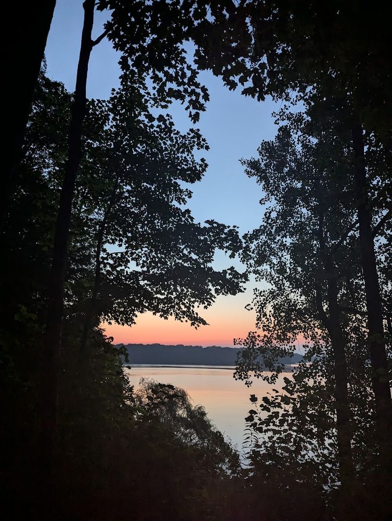 Raptors, Quiet Woods, and the Nature Center Reset