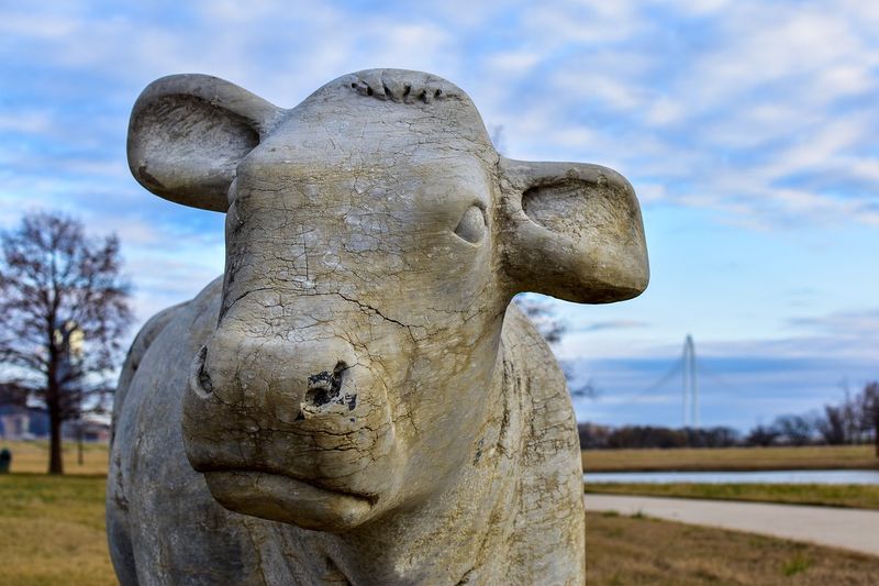 Elsie the Cow Burial Site — Plainsboro Elsie the Cow Burial Site — Plainsboro