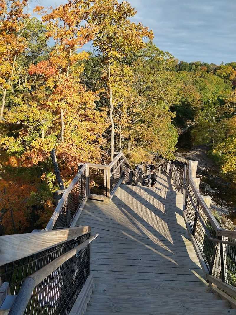 Enjoy The Bridges, Boardwalks, And Woodland Views