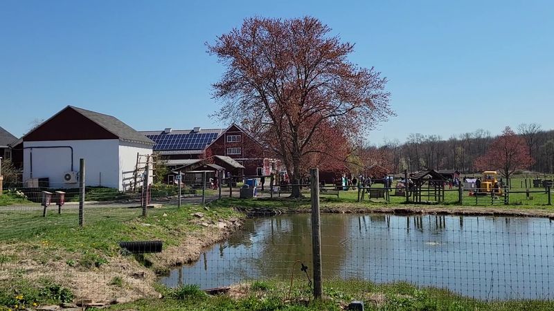 Enjoy the Winery Weekend Music Series at Terhune Orchards
