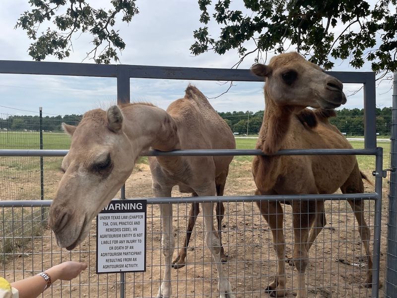 Ethical Animal Care and Educational Mission Ethical Animal Care and Educational Mission
