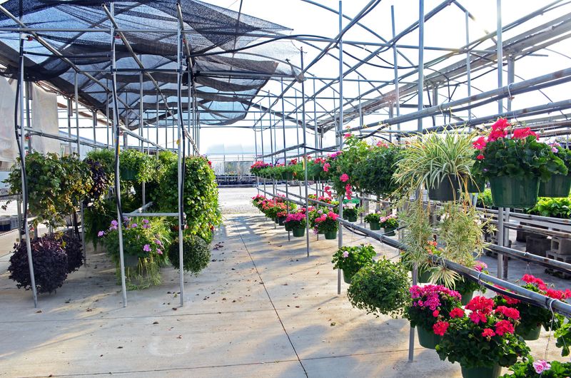 Evans Plant Farm — Murfreesboro Evans Plant Farm — Murfreesboro