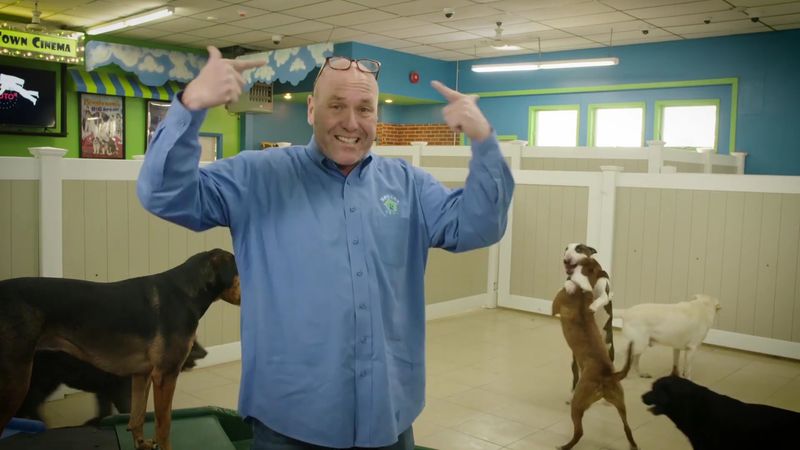 Even Busy Owners Get A Break With Pet Taxi Service