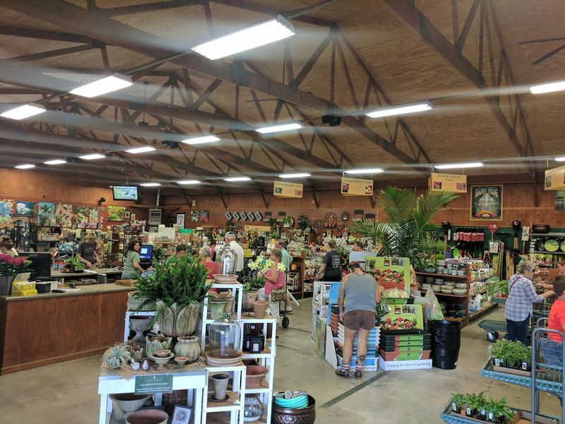 Evergreen of Johnson City — Johnson City Evergreen of Johnson City — Johnson City