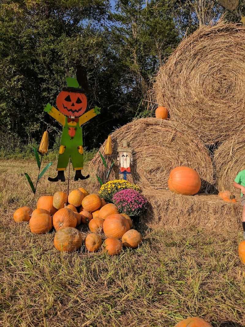 Every Season Gives The Farm A Different Kind Of Beauty Every Season Gives The Farm A Different Kind Of Beauty