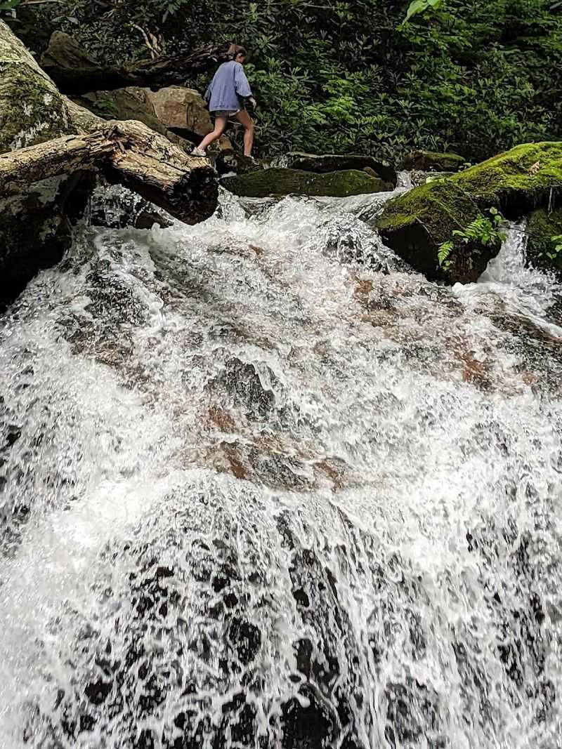Expect Creek Crossings, Forest Views, And A Real Sense Of Adventure