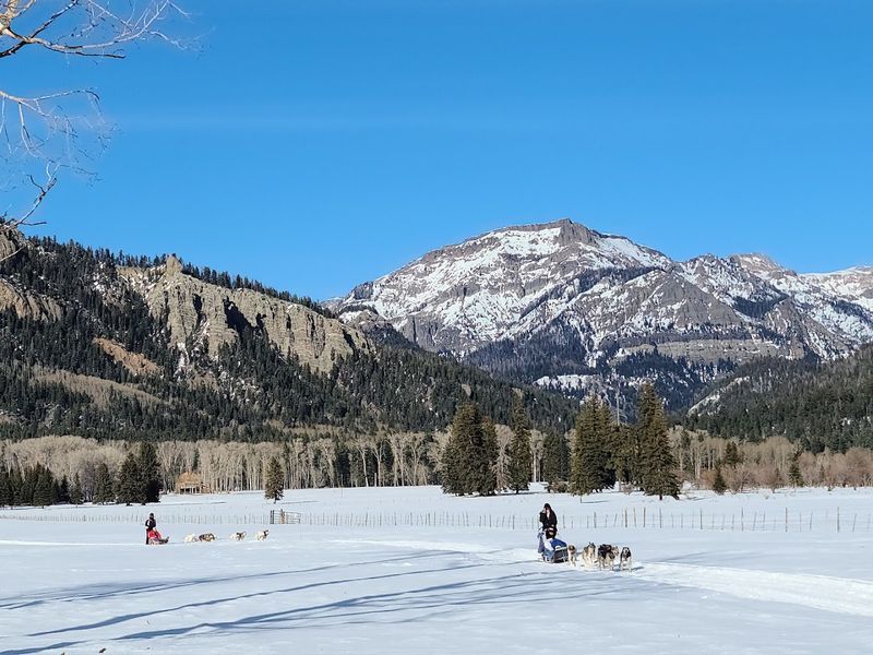 Experience Wolf Creek from a Pagosa Springs Base Experience Wolf Creek from a Pagosa Springs Base