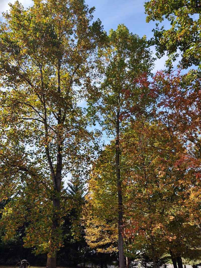 Explore The Great Smoky Mountains Without Staying In The Crowds Explore The Great Smoky Mountains Without Staying In The Crowds