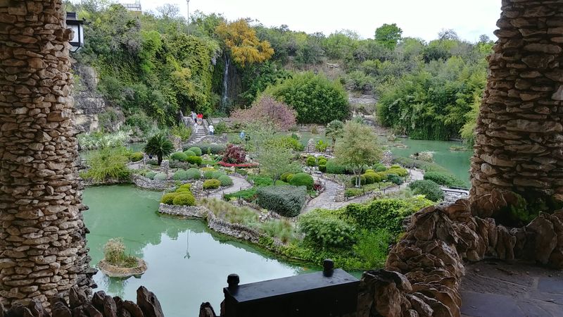 Explore The Japanese Tea Garden
