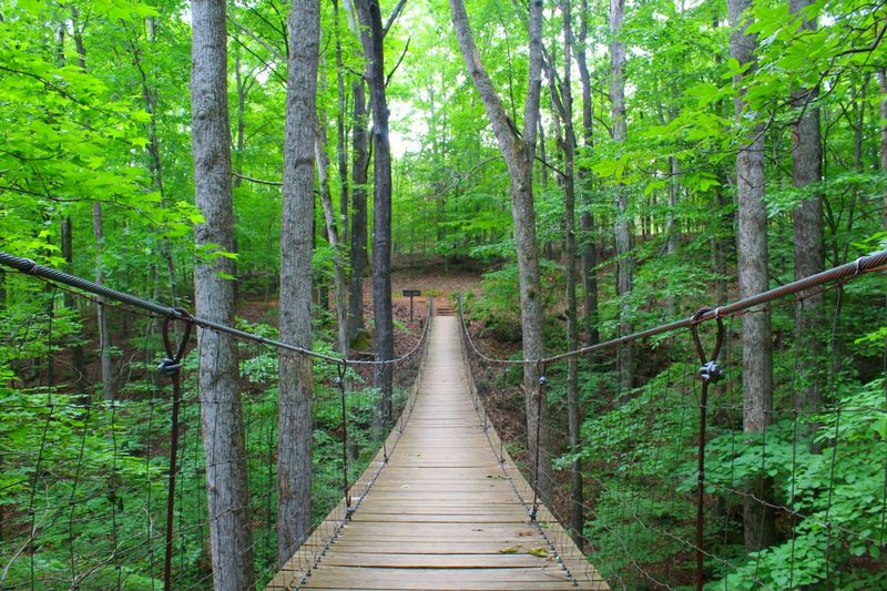 Explore Tims Ford State Park For Trails, Views, And Quiet Corners