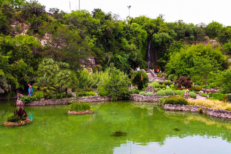 Explore the Japanese Tea Garden (San Antonio) Explore the Japanese Tea Garden (San Antonio)