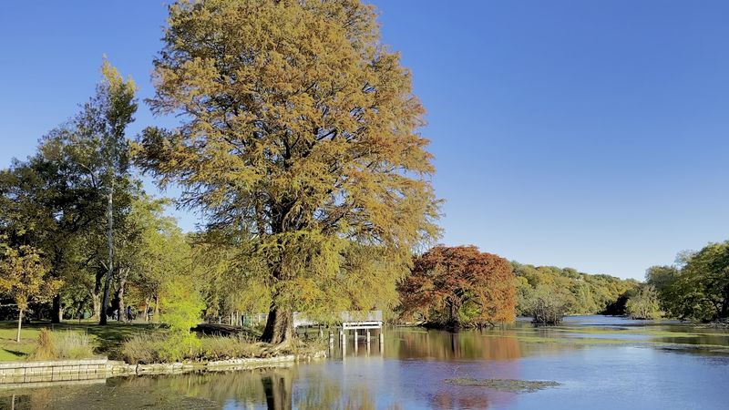 Fall Foliage and Year-Round Natural Beauty
