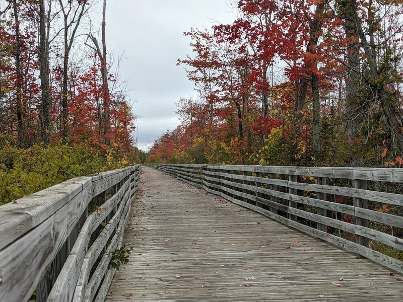 Fall Riding on the Wheelway Is a Different Kind of Beautiful