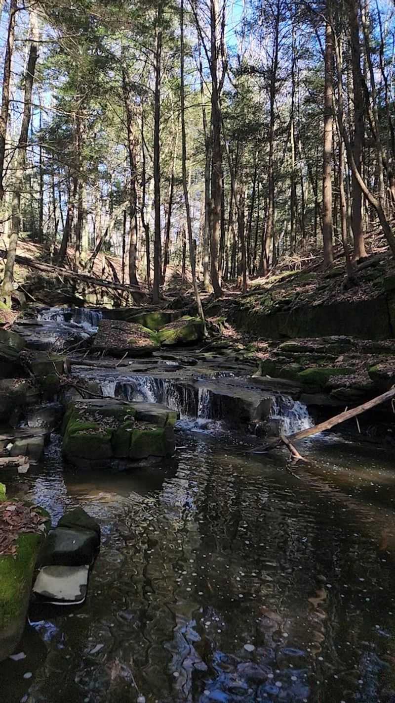 Falling Run Nature Trail Is a Local Favorite