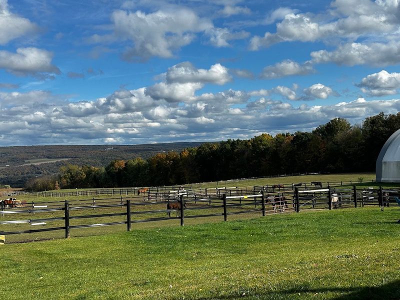 Families find plenty to love beyond the horseback riding Families find plenty to love beyond the horseback riding