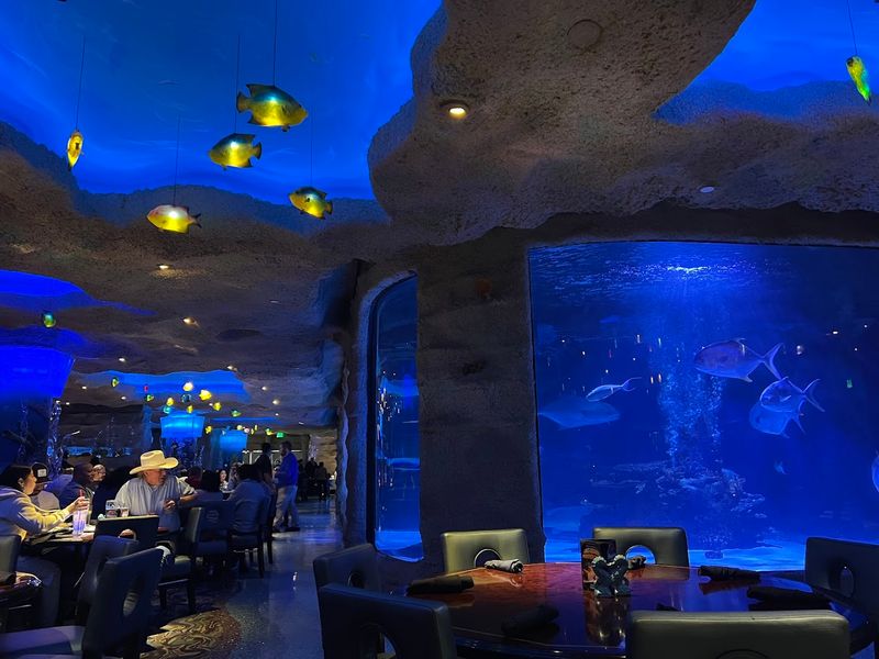Family Friendly Fun With Underwater Views Family Friendly Fun With Underwater Views