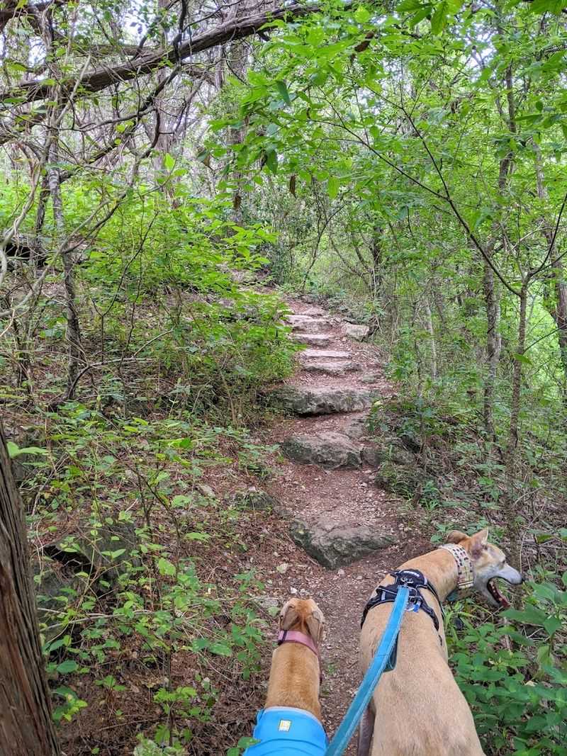 Family and Dog-Friendly Tips Family and Dog-Friendly Tips