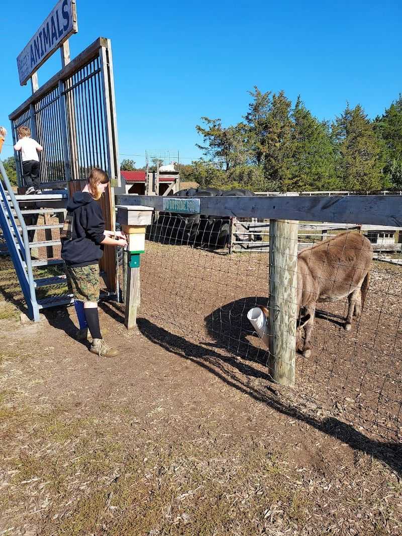 Farm Animals Hayrides and Easy Fun for Kids Farm Animals Hayrides and Easy Fun for Kids