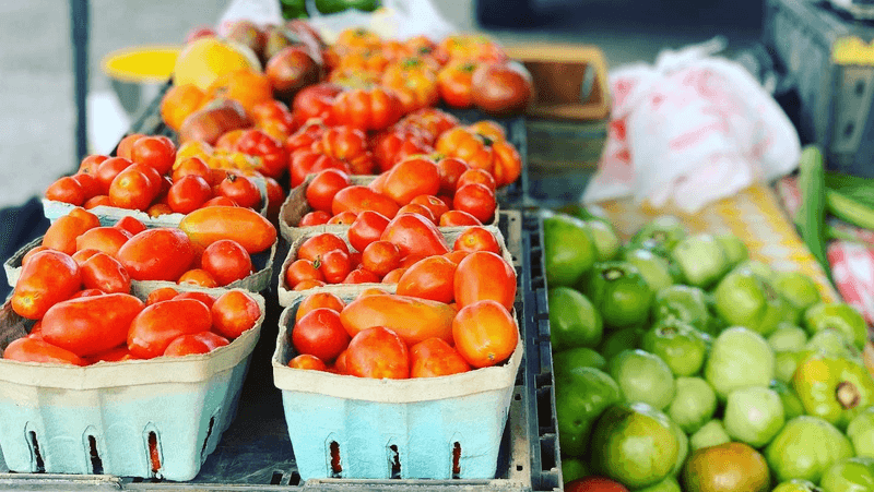 Farm-Fresh Produce Straight from Local Growers