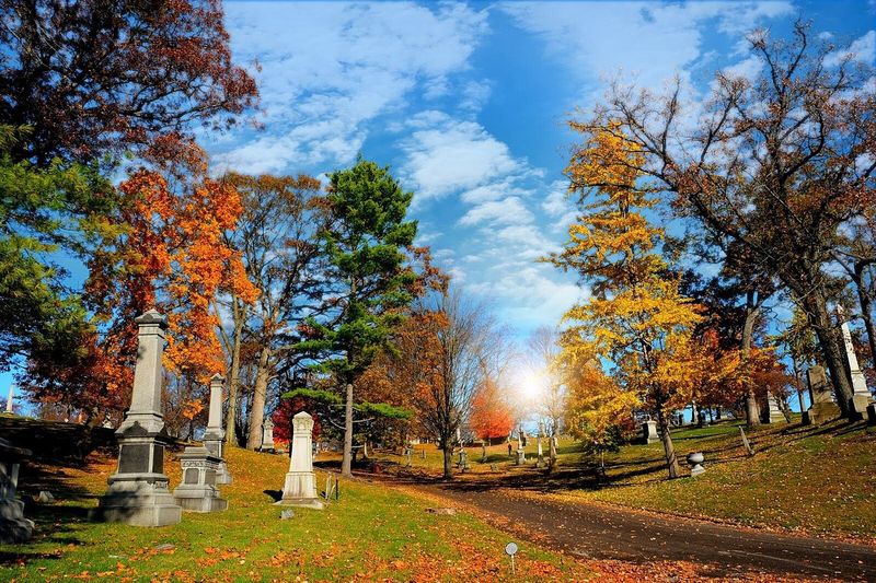 Ferncliff Cemetery And Arboretum, Springfield
