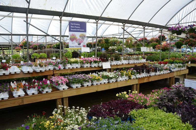 Fernwood Garden Center — Columbia Fernwood Garden Center — Columbia