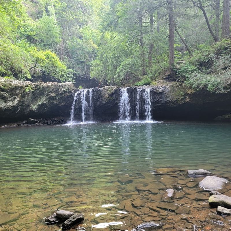 Fiery Gizzard State Park