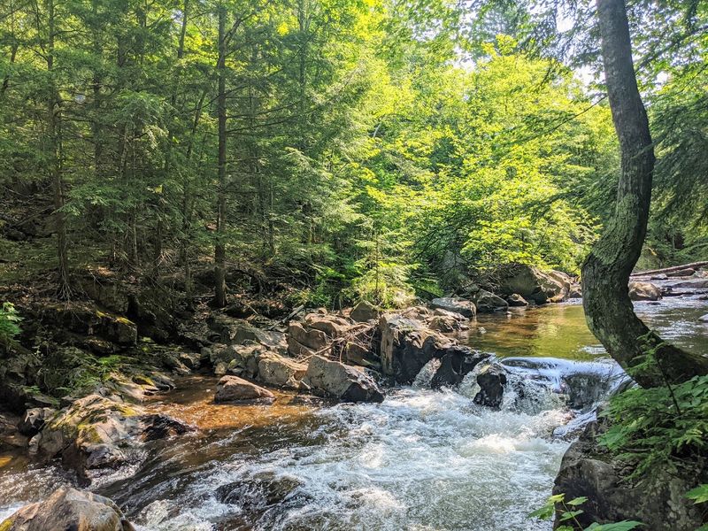 Finding the Trailhead Without Losing Your Mind
