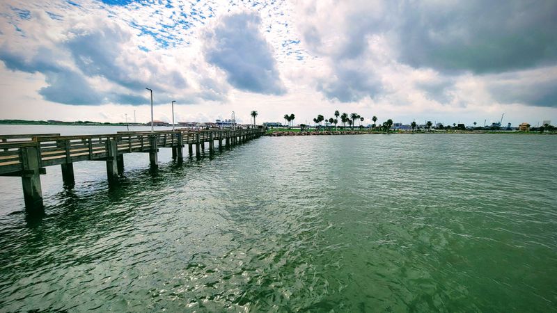 Fishing Along the Rocks and Pier
