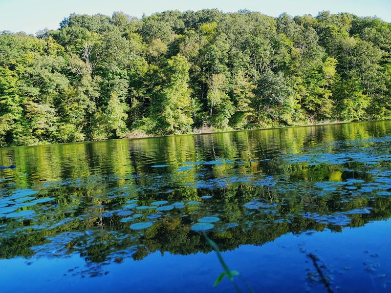 Fishing and Paddling Are Two of the Best Ways to Unwind Fishing and Paddling Are Two of the Best Ways to Unwind