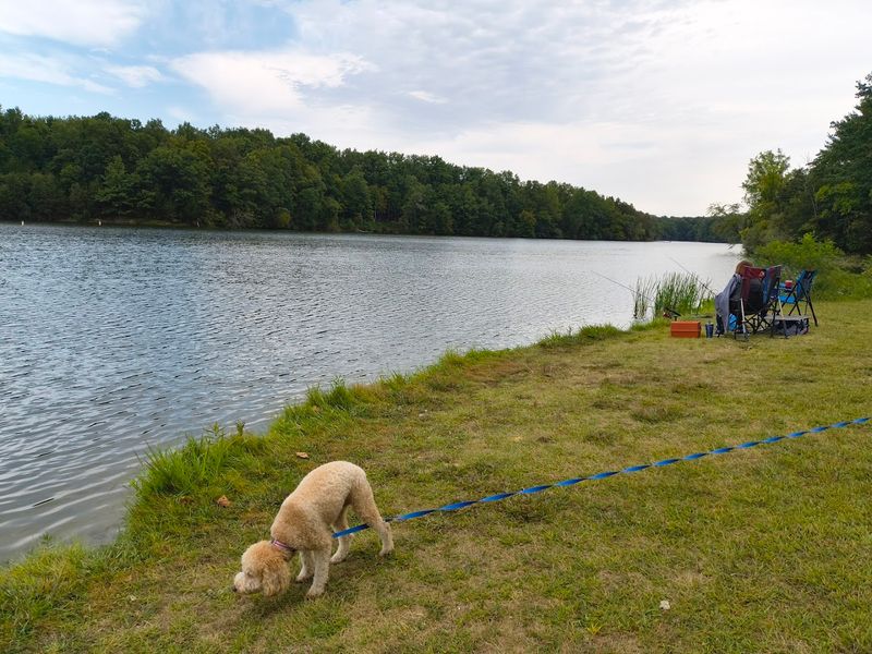 Fishing here is part of the park's everyday appeal