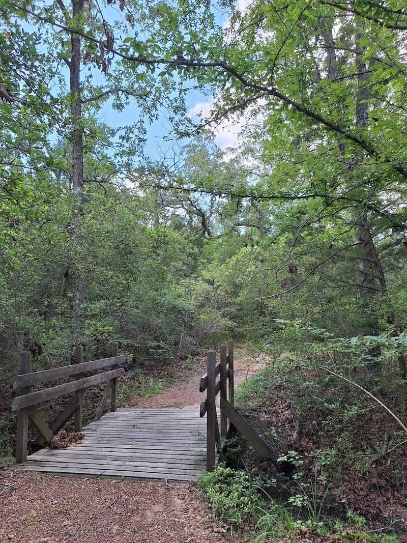 Five Miles Of Easy Hiking Trails Five Miles Of Easy Hiking Trails