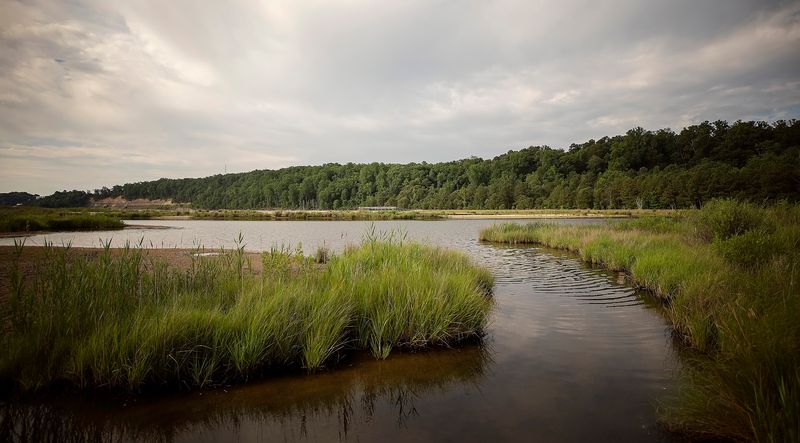 Flag Ponds Nature Park Flag Ponds Nature Park