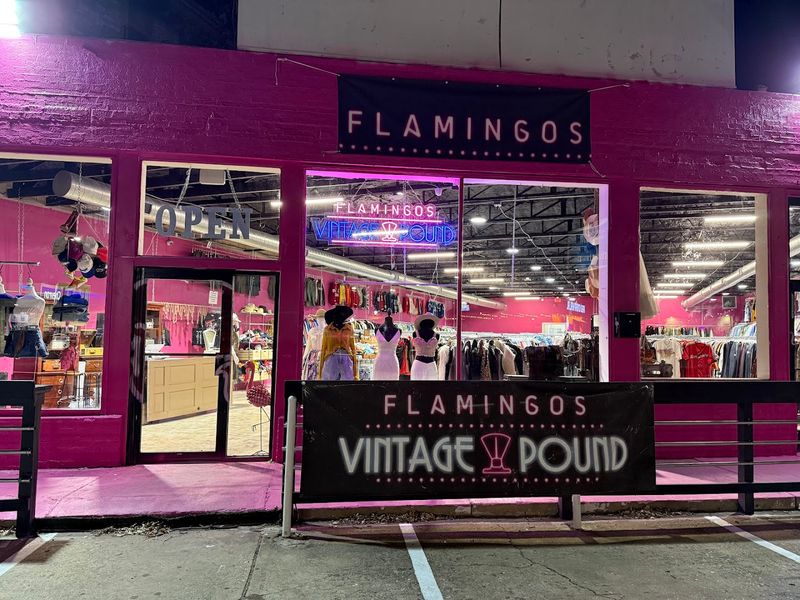 Flamingos Vintage Pound (Austin)
