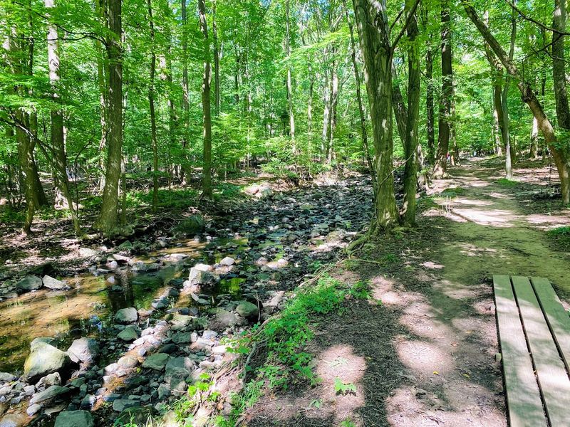 Flat Rock Brook Nature Center Flat Rock Brook Nature Center