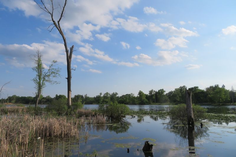 Flint Park – Flint