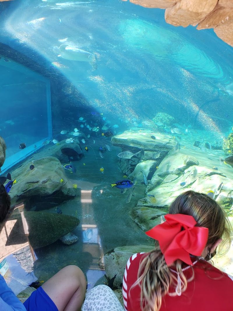 Float Through an Underwater Paradise at Loggerhead Lane Float Through an Underwater Paradise at Loggerhead Lane