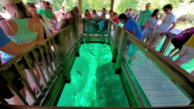 Float over Kitch-iti-kipi Float over Kitch-iti-kipi