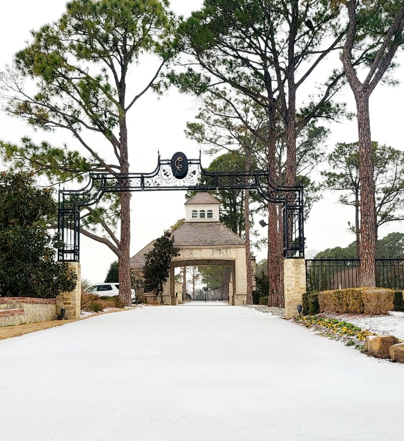 Flower Mound Flower Mound