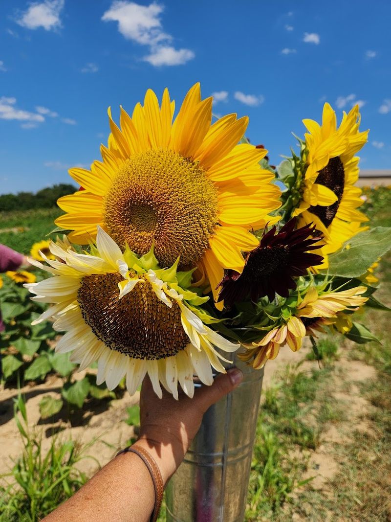 Flowers add another reason to visit in warmer months Flowers add another reason to visit in warmer months
