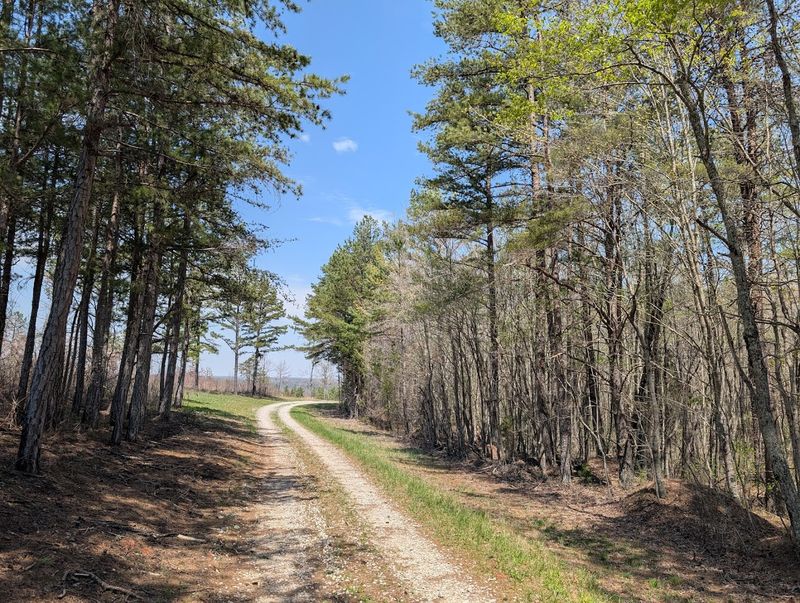 Follow Miles of Trails Through Forests, Creeks, and Quiet Backcountry