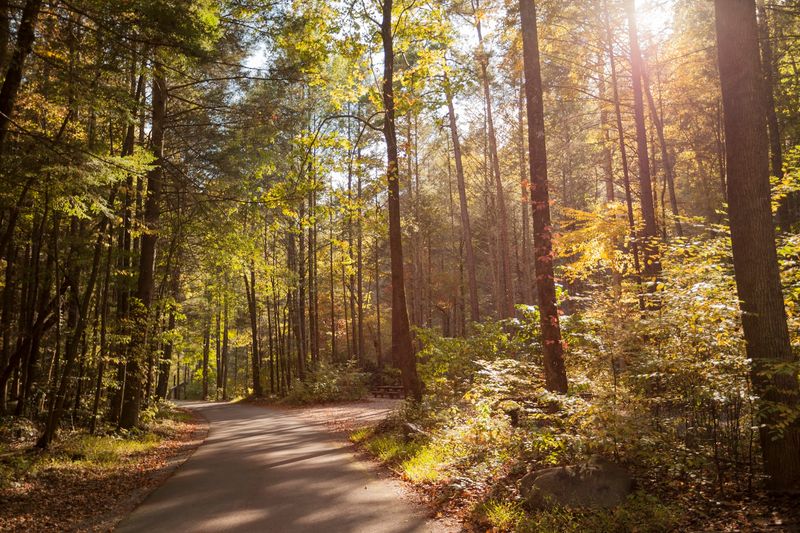 Forest Trails Make This Area Perfect For A Slow Outdoor Escape Forest Trails Make This Area Perfect For A Slow Outdoor Escape