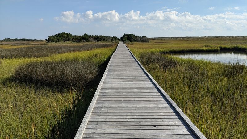 Fort Fisher Basin Trail Fort Fisher Basin Trail