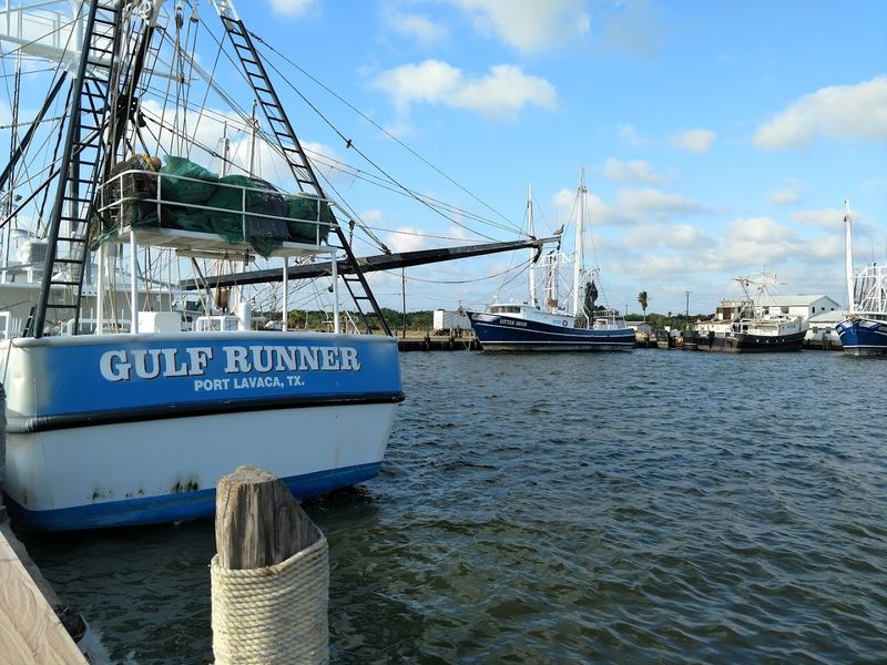 Fresh-Caught Shrimp Straight From the Boats