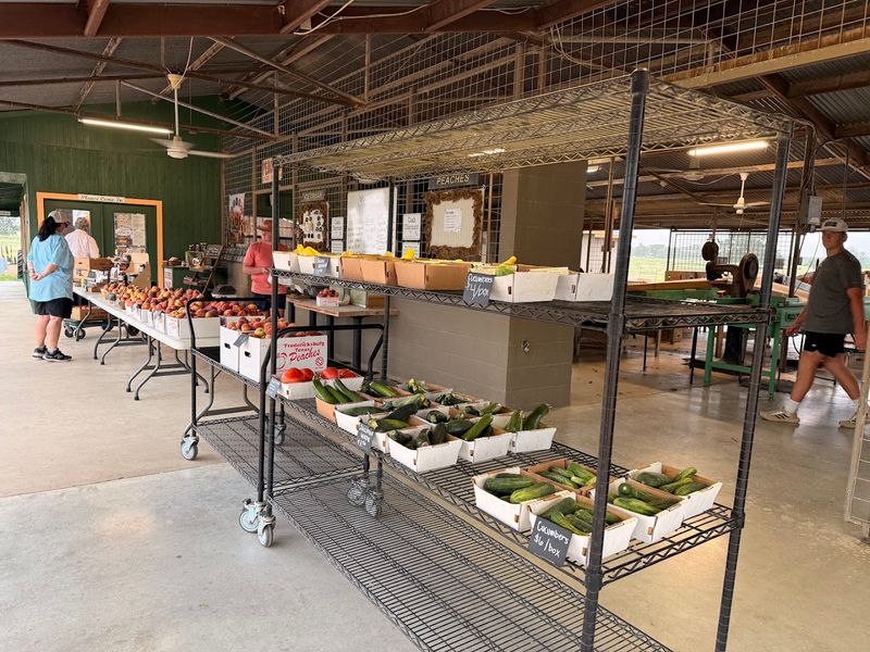 Fresh Seasonal Vegetables Beyond Just Peaches Fresh Seasonal Vegetables Beyond Just Peaches