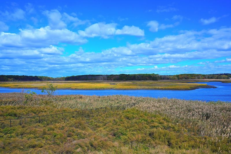 Freshkills Park Freshkills Park