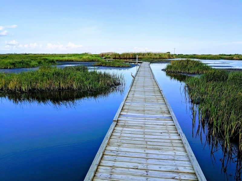 Gambusia Nature Trail Boardwalk